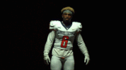 unite18 cnfb18 GIF by Carson-Newman Athletics