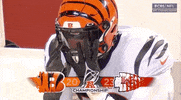 Cincinnati Bengals Football GIF by NFL