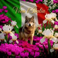 Bandiera Italiana GIF by TresorsDuMonde.ca