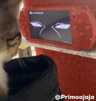 Cat Kitty GIF