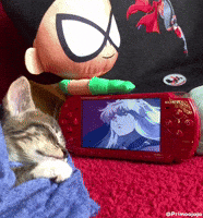 Kitty Kitten GIF