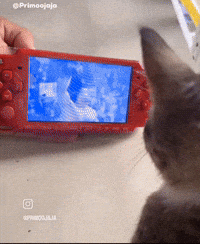 Wwe Peak GIF