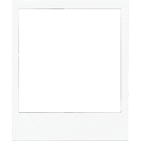 Weichertrealtors Topagent Sticker by Weichert Realtors ABG Properties