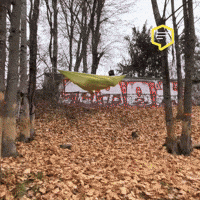 Police Omg GIF by Linz News