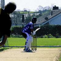 Big Hit Sport GIF by Luke Westen