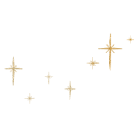 Stars Gold Sticker by Elley Mae