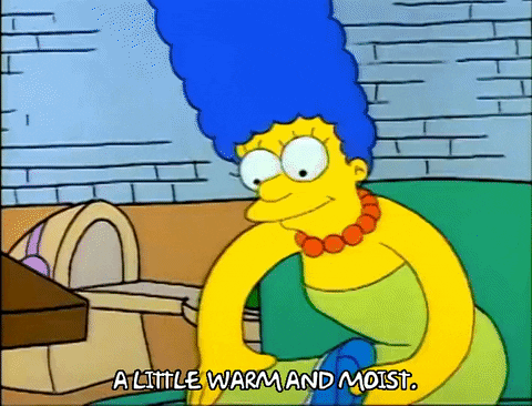 Season 1 GIF by The Simpsons