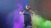 Meow Wolf Home Kit GIF by New Mexico United