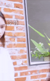 K-Pop S3 GIF