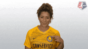 nwsl soccer point nwsl crest GIF