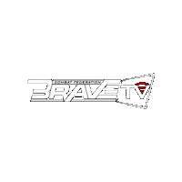 Mixed Martial Arts Mma Sticker by BRAVE Combat Federation