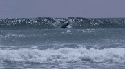 san diego beach GIF by Much