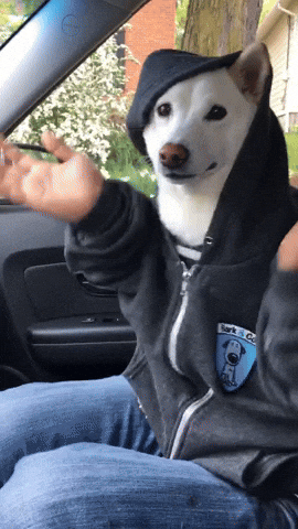 GIF by KeepUpWithJazAndYumi