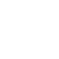 amydoakphotography family photography photographer buffalo Sticker