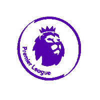 Premier League Football Sticker