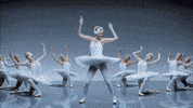 Taylor Swift Hqg Studios GIF by hero0fwar