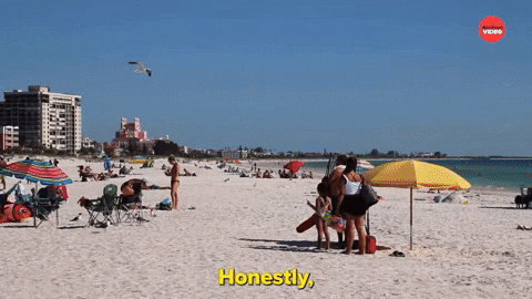 Spring Break Beach GIF by BuzzFeed