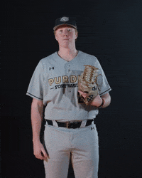 Surfs Up Baseball GIF by Purdue Fort Wayne Athletics