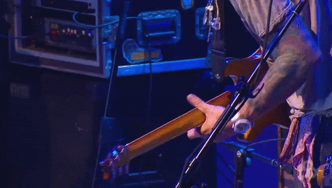 dead & company bonnaroo 2016 GIF by Bonnaroo Music and Arts Festival