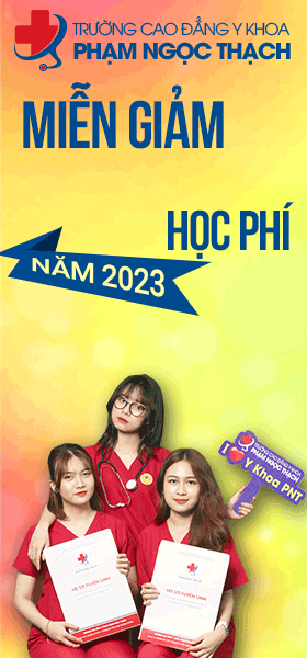 cdphamngocthach giphyupload GIF