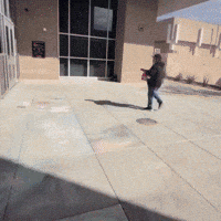 Isscole GIF