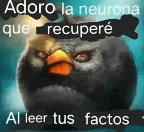 Angry Birds Facts GIF