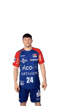 Handball Link Sticker by HBW