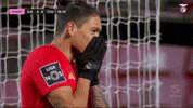 Sl Benfica Darwin GIF by Sport Lisboa e Benfica