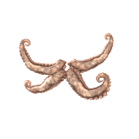 Superchillfoundation superpower superpowers superchill tentakel Sticker