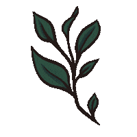 Vancouver Island Plant Sticker