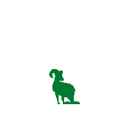Cima Borrego Sticker by Grupo Cimarron