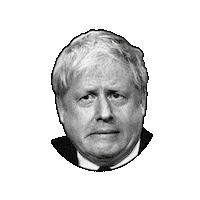 Boris Borisjohnson Sticker by Banter Cards