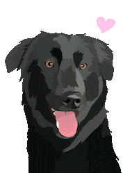 Dog Pet Sticker by Watertown Humane Society