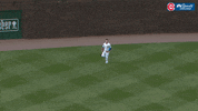 chicago cubs baseball GIF by NBC Sports Chicago