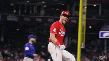 Celebration Yell GIF by Cincinnati Reds