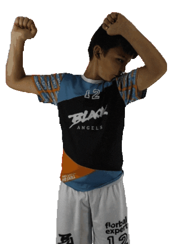 Floorball Ba Sticker by BLACK ANGELS