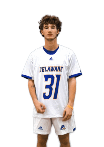 College Sports Ncaa Sticker by Delaware Blue Hens
