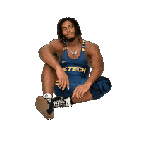 Wrestling Sticker by WVU Tech Golden Bears