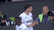 Football Torres GIF by Aston Villa FC