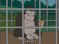 episode 14 GIF