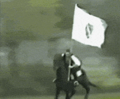 Horse Islam GIF