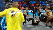 Wwe Wrestling GIF by USA Network
