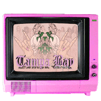 pink tv television Sticker by Tampa Bay Girl Gang