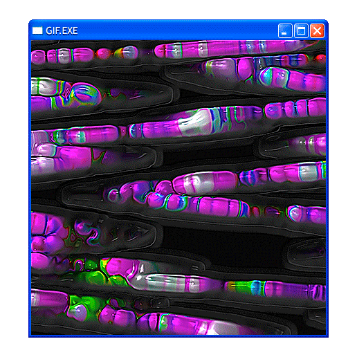 animation mesmerizing Sticker by POST-WEB