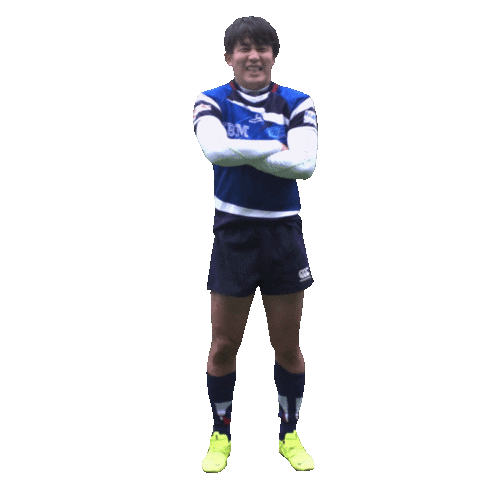 Rugby Ibm Sticker by dec boc