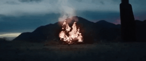 fire burn GIF by nettwerkmusic