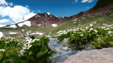 colorado footage GIF