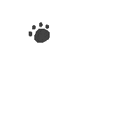 Hilystarry animals 動物 footprint 手繪 Sticker