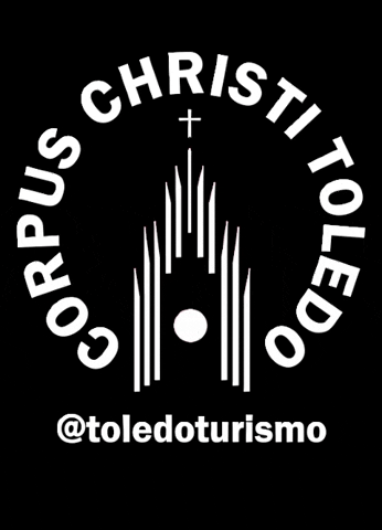 Toledo_Turismo giphygifmaker 2022 turismo toledo GIF