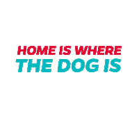 Cat Swipe Up Sticker by Pet Parents®